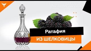 рДЖ 6: Ратафия из шелковицы