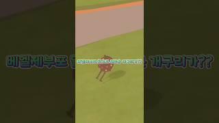 개구리 잡다가 대박상황이 일어났습니다 #playtogether #shorts