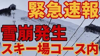 【緊急速報】スキー場コース内で700mに及ぶ大規模雪崩発生【岩原の35度の壁崩壊】スキー場ゲレンデ解説レポート