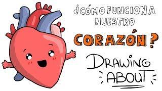 ¿CÓMO FUNCIONA EL CORAZÓN? ️ | Drawing About con @GlóbuloAzul