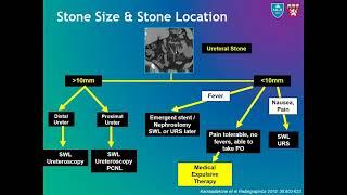 Imaging of renal stone