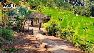 PETUALANGAN ALAM DESAKU DI KAMPUNG ASEM SUMEDANG JAWA BARAT ,BIKIN BETAH