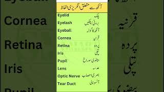 Eye Anatomy Vocabulary in English with Urdu Meanings | Smart Study Zone