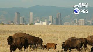 Colorado Experience: Weapons to Wildlife