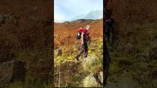 Low White Stones #lakedistrictwalks #bordercollie #hiking #lakedistrict #mountains  #wainwrights
