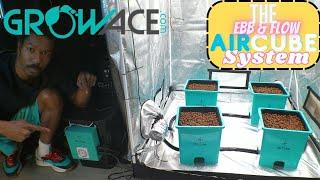 GrowAce AirCube Active Oxygen Ebb and Flow System | THE NO LEAK SETUP