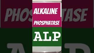 alkaline phosphatase #biochemistry #alp #liver #liverdisease #shorts #isoenzymes #anatomy #physio