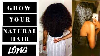 BEST TIPS to GROW LONG NATURAL HAIR  ⇒  Grow Your Type 4 Hair to Waist Length