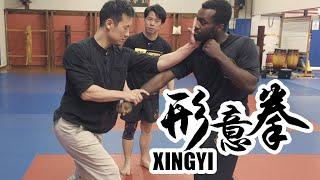 This XingYi Master is CRAZY FAST!