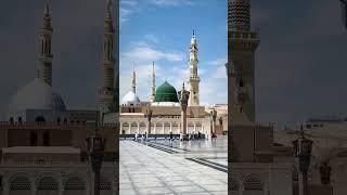 ..#holyquran #muhammad #quranquotes #alquranmurah #prophetmuhammadﷺ #quran_kareem #qurantime
