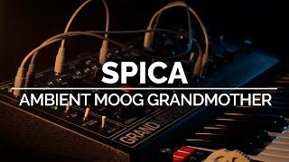 Spica | Ambient Moog Grandmother