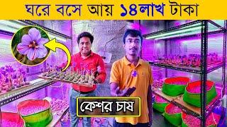 ঘরের মধ্যে ফলছে ১৪ লাখ টাকার কেশর || Indoor Saffron farming in West Bengal | Kesor Chas | saffron