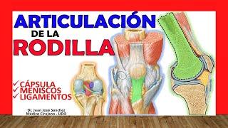  KNEE JOINT. Simple Explanation!