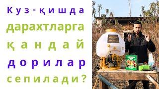 КУЗ-ҚИШДА МЕВАЛИ ДАРАХТЛАРГА ҚАНДАЙ ДОРИЛАР СЕПИЛАДИ???