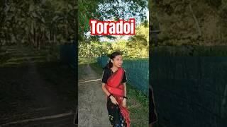 Toradoi । Assamese Song । Rahul Rajkhowa #shorts