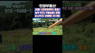 급매 남한강 조망 대로변 산소부지 주말농장 551평 #주말농장 #급매 #남한강 #산소부지 #대로변 #현천리