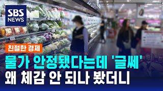 물가 안정적이라는데 체감은 영…격차 이유는? / SBS / 친절한 경제