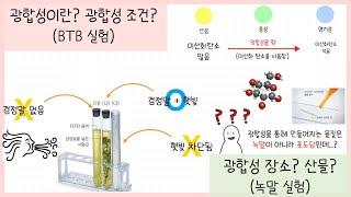 [중2 식물과 에너지] 1강. 광합성┃광합성의 조건┃장소┃광합성 산물 정리하기