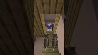 더러운 방을 대하는 자세 #ratdance #신언심 #minecraft