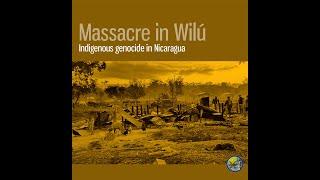 Attack on Wilú community - Mayangna territory, Nicaragua