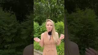 Кадастровый инженер компания Моя Земля #недвижимость #инвестиции #спб