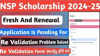 NSP Application is Pending For Re Validation | Re Validation Problem Solved | Form Verification 2025