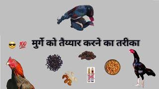 aseel murge ko garam karne ka tarika #aseeltrenigtips