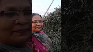 prabhawati devi