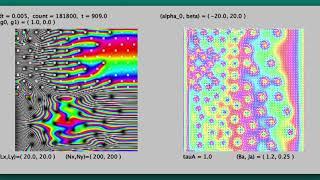 Vortex flow and pinning effect in type-II superconductors