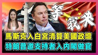 馬斯克入白宮清算美國政壇，特朗普邀支持者入內閣做官！｜馬斯克放棄夢想從政棄商，美國效率委員會掛牌成立，針對中國俄羅斯部門要結業？【屈姬主播 EP265】