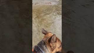 Just at the creek fishing, we caught 2 keepers .