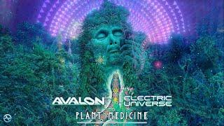 Avalon & Electric Universe - Plant Medicine