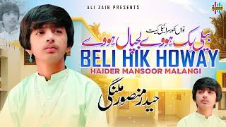 Beli Hik Howay Lajpal Howay | Haider Mansoor Malangi | Official Saraiki Song