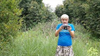 Drone 6 - Permaculture and Wildlife Breeding Farm - Engineer Ka Bagh #drone #gardening