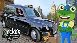 Gecko's TAXI Adventure! | Taxi For Kids | Gecko's Real Vehicles | Cars For Children | Learning Video