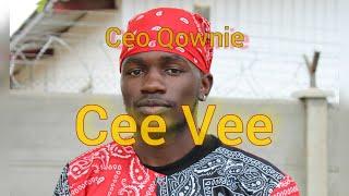 Cee Vee (cv) --CEO QOWNIE  (official video)