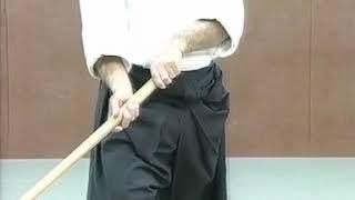 Aikido Christian Tissier - Aikiken (kashima shin ryu basics)