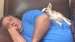 Dads Who Are Now Best Friends With The Pets They 'Didn't Want 