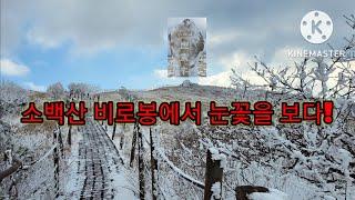 [대한민국 100대 명산 #50 : 단양 소백산] 1439.5m 소백산 비로봉에서 눈꽃을 보다!