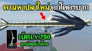 Fisch Roblox : จุดตกปลาใหม่ปลามังกรขี้ก้าง ตกยากมาก เบ็ดเวล750 ถูกบัพอย่างโกง