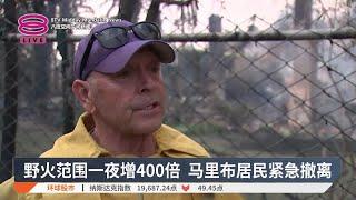 野火范围一夜增400倍 马里布居民紧急撤离【2024.12.11 八度空间午间新闻】