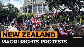 Thousands protest as Maori rights march reaches New Zealand parliament | Al Jazeera Newsfeed