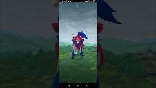First Ever Zamazenta in#pokemongo#legendary#zamazenta#raid