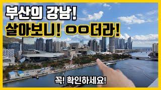 부산의 강남! 해운대구, 수영구에 살아보니 이렇더라!