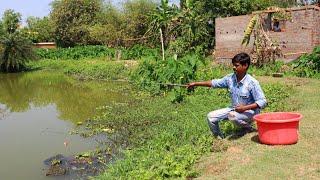 Fishing Video || Watch how the village boy caught fish using different types of food || Fishing trap