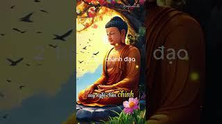 2. Bát chánh Đạo | Vi Pháp Diệu Âm| #trietlycuocsong  #loiphatday#phatphap #thichminhtue #tudieude