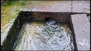 BANGANGA WALKESHWAR | GANGA IN MUMBAI | VLOG BY DIVYANK KALGUTKAR & DURVA KAMBLI | DK_BHATKANTI |