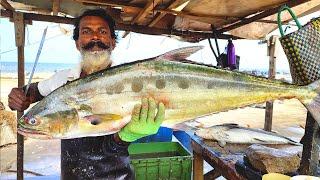 Huge Talang Queenfish Cutting Skills