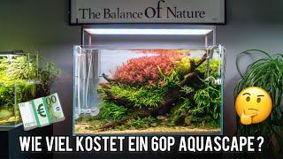 So viel hat mein ADA 60P Aquascape Aquarium gekostet!