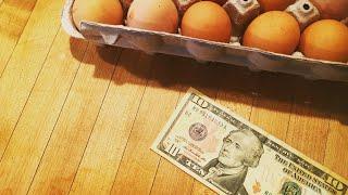 MAKE MONEY NOW with a HOMESTEAD SIDE HUSTLE!